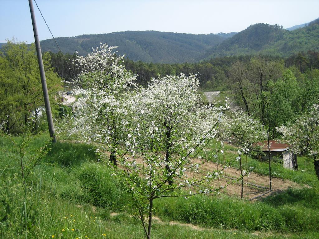 Agriturismo Casalino Beverino Eksteriør billede